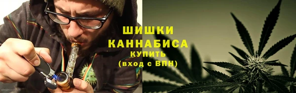 шишки Надым