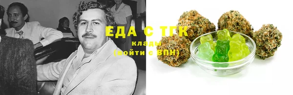 шишки Надым