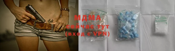 шишки Надым