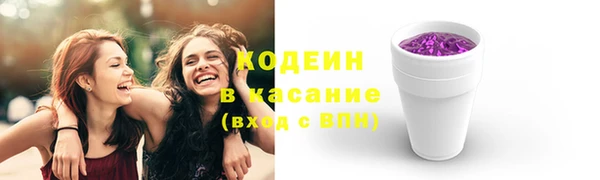 шишки Надым