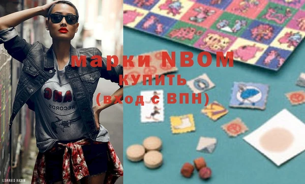 шишки Надым