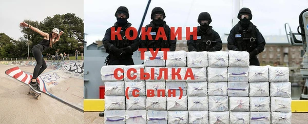 шишки Надым
