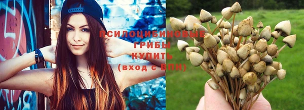 шишки Надым