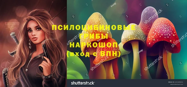 шишки Навашино