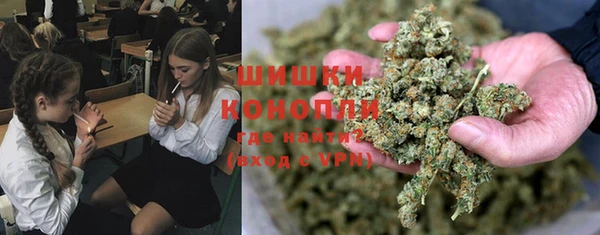 альфа пвп Нея