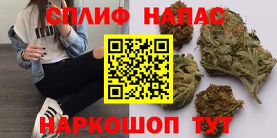 индика Донецк