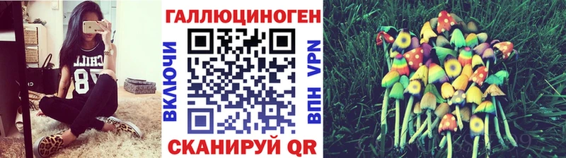 Галлюциногенные грибы мухоморы  Курчатов 