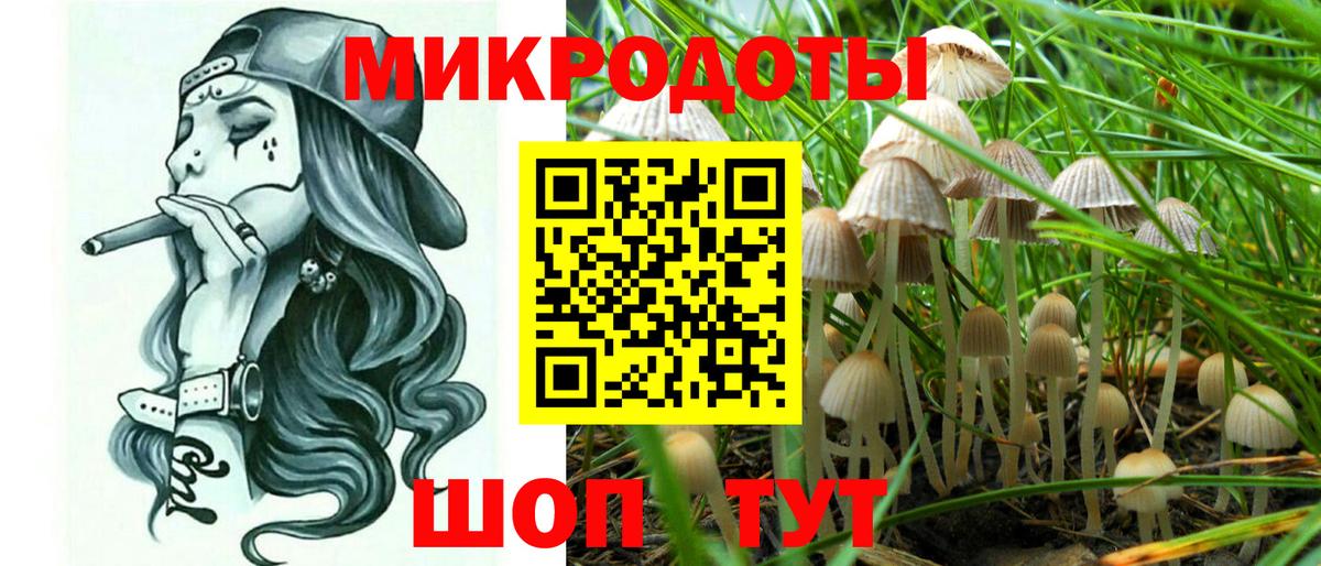 Галлюциногенные грибы Magic Shrooms  Курчатов 