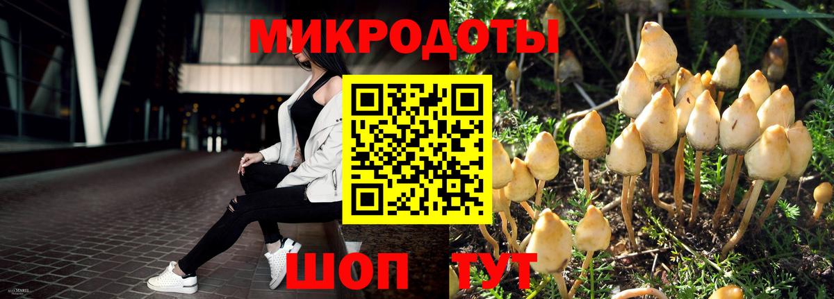 Галлюциногенные грибы GOLDEN TEACHER Курчатов